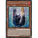 Salamangrande Renard (PSR) [MP19]