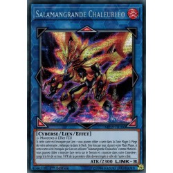 Salamangrande Chaleurléo (PSR) [MP19]