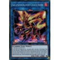 Salamangrande Chaleurléo (PSR) [MP19]