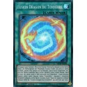 Fusion Dragon du Tonnerre (SR) [MP19]