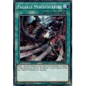 Pagaille Mercefourrure (C) [MP19]