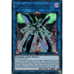 Trisbaena Topologique (UR) [MP19]