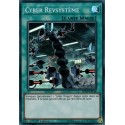 Cyber Revsystème (SR) [MP19]