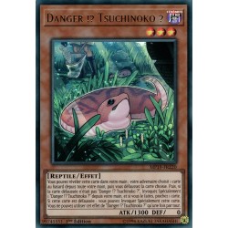 Danger !? Tsuchinoko ? (UR) [MP19]