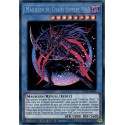 Magicien du Chaos Sombre MAX (PSR) [TN19]