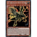 Le Dragon Ailé de Râ (PSR) [TN19]