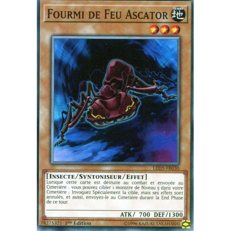 Fourmi de Feu Ascator (C) [LED5]