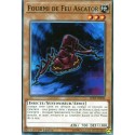 Fourmi de Feu Ascator (C) [LED5]