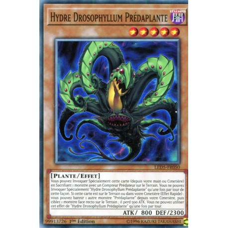 Hydre Drosophyllum Prédaplante (C) [LED5]