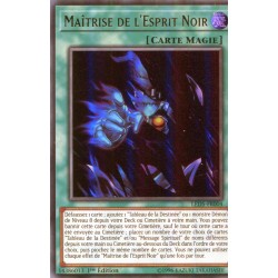 Maîtrise de l'Esprit Noir (UR) [LED5]