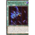 Maîtrise de l'Esprit Noir (UR) [LED5]