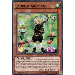 Laurier Arômage (C) [CHIM]