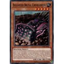 Bulldozer Brutal Chenillinfini (C) [CHIM]