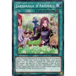 Jardinage d'Arôma (C) [CHIM]