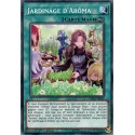 Jardinage d'Arôma (C) [CHIM]