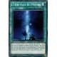 L'Héritage du Monde (C) [CHIM]