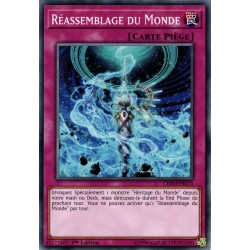 Réassemblage du Monde (C) [CHIM]