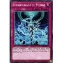 Réassemblage du Monde (C) [CHIM]