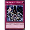 Prélèvement d'Âme (C) [CHIM]