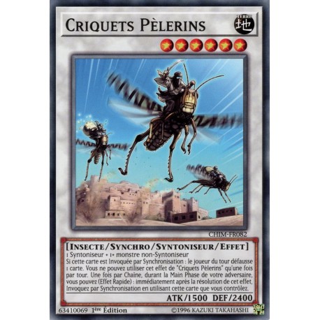 Criquets Pèlerins (C) [CHIM]