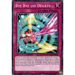 Bye Bye les Dégâts (C) [CHIM]