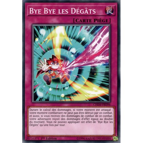 Bye Bye les Dégâts (C) [CHIM]
