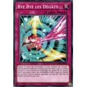 Bye Bye les Dégâts (C) [CHIM]