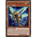 Dragon Nébuleuse (R) [CHIM]