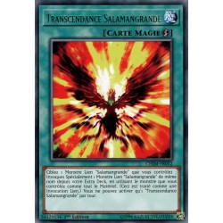 Transcendance Salamangrande (R) [CHIM]