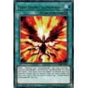 Transcendance Salamangrande (R) [CHIM]