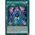 Spectres du Miroir des Rêves (SR) [CHIM]