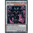Draco Berserker du Tenyi (UR) [CHIM]