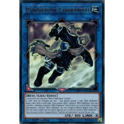 Panthère de Laboratoire (UR) [CHIM]