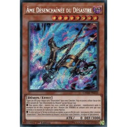 Ame Désenchaînée du Désastre (STR) [CHIM]