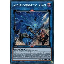 Ame Désenchaînée de la Rage (STR) [CHIM]