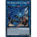 Ame Désenchaînée de la Rage (STR) [CHIM]