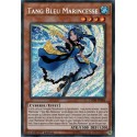 Tang Bleu Marincesse (STR) [CHIM]