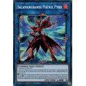 Salamangrande Phénix Pyro (STAR) [CHIM]