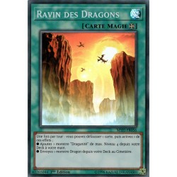 Ravin des Dragons (SR) [MYFI]