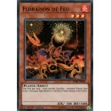 Floraison de Feu (SR) [MYFI]