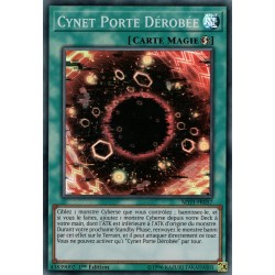 Cynet Porte Dérobée (SR) [MYFI]