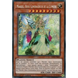 Mardel, Boss Genèraideur de la Lumière (STR) [MYFI]