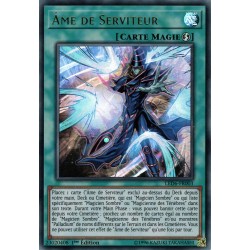 Âme de Serviteur (UR) [LED6]