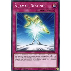 À Jamais Destinés (C) [LED6]