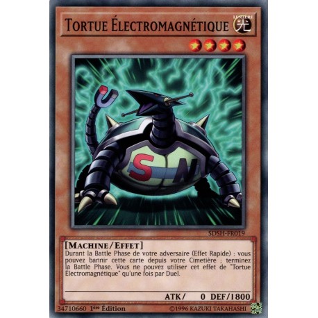 Tortue Éectromagnétique (C) [SDSH]