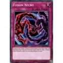 Fusion Nécro (C) [SDSH]