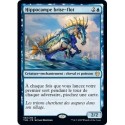 (FOIL) Bleue - Hippocampe brise-flot (R) [THB]