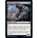 (FOIL) Noire - Harpie nécrophage (C) [THB]