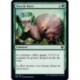 (FOIL) Verte - Don de force (C) [THB]