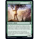 (FOIL) Verte - Cariatide ilyséenne (C) [THB]